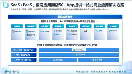 科學家創業 幫寶潔、伊利們用數據說故事的數據處理服務
